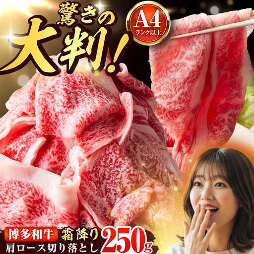 【A4-A5】博多和牛 大判霜降り 贅沢切り落とし 250g [BGAB108]