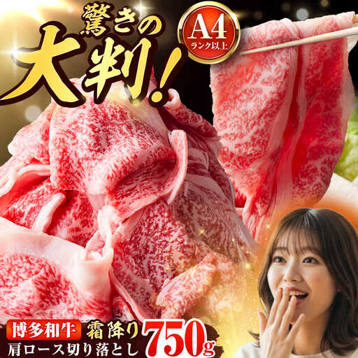 【A4-A5】博多和牛 大判霜降り 贅沢切り落とし 750g (250g×3P) [BGAB110]