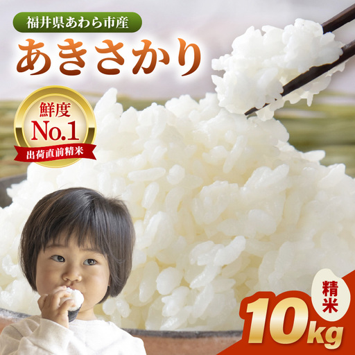 [令和7年産]あきさかり 精米 10kg × 1袋(計10kg) / 福井県産 ブランド米 ご飯 白米 お米 コメ 新鮮 [aw012-a043]