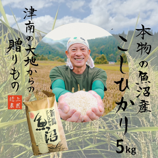 令和8年産 魚沼産コシヒカリ 白米 5kg 新潟県 津南町 近上農園