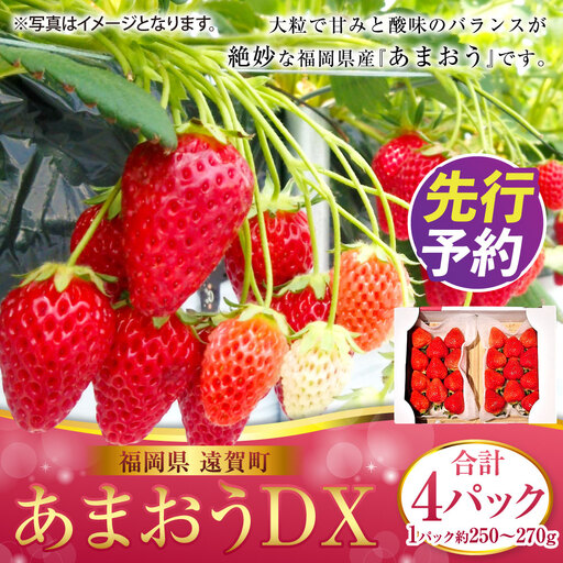 あまおうDX 約250～270g×4パック あまおう いちご イチゴ 苺 果物 くだもの フルーツ【2027年2月上旬～4月下旬発送予定】