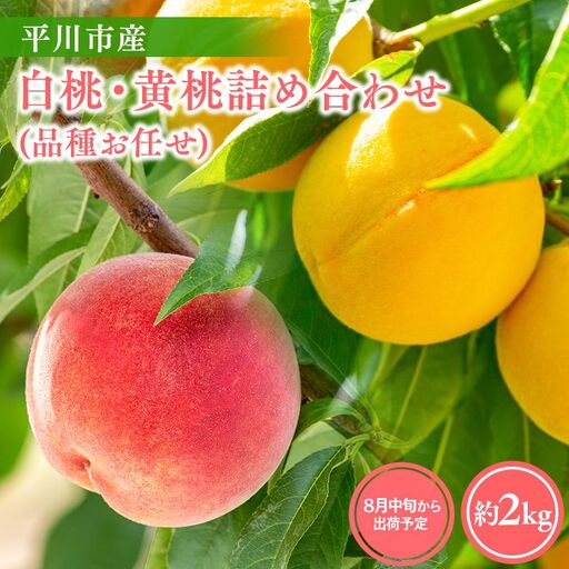 [2026年産 先行予約]平川市産桃 品種お任せ 詰め合わせ 約2kg(6-8玉)[hi-0064-005]