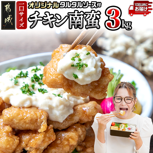 宮崎県産鶏チキン南蛮3.0kgセット≪みやこんじょ特急便≫〔17-15-012-3kg-Q〕_(都城市) 宮崎県産鶏 小分け ソウルフード 冷凍 肉