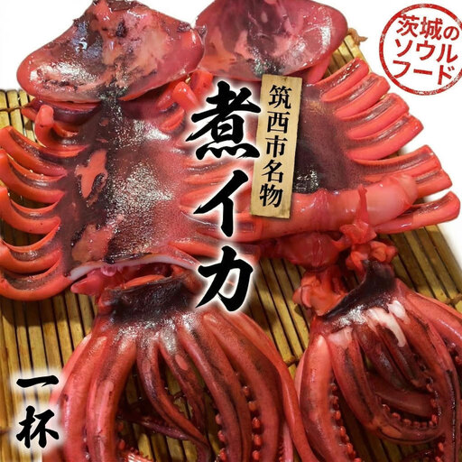 筑西市名物 煮イカ（一杯） いか 筑西 茨城 ソウルフード ご当地グルメ 名物 海鮮 魚介 冷凍