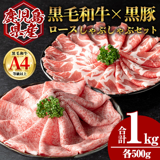 鹿児島県産 黒毛和牛 ロース × 黒豚 肩ロース しゃぶしゃぶ セット (合計1kg・各500g) 国産 牛肉 豚肉【肉のちょーさん】A949