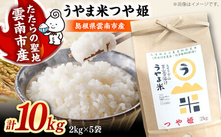 【令和8年産】新米 うやま米 10kg（2kg×5）[AIDB088-r8] つや姫