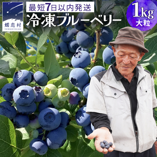 【 最短 7日以内 発送 】 冷凍ブルーベリー 大粒 1kg 数量限定 国産 フルーツ スムージー 果物 くだもの 農家直送 スイーツ アイス ノーザンハイブッシュ系 ミックス [AT015tu]