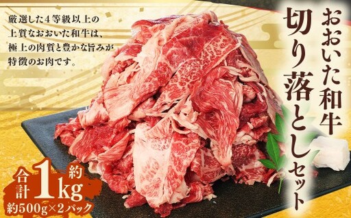 おおいた和牛 切り落とし 約500g×2パック 計約1kg