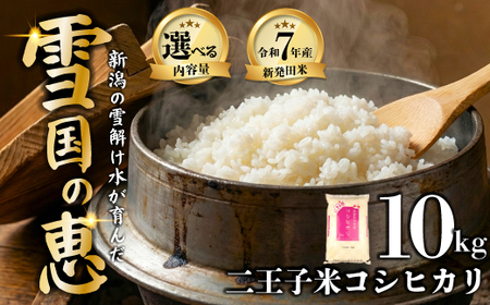 令和7年産 新潟県産 コシヒカリ 10kg 5kg×2袋 数量限定 特別栽培米 二王子米 新潟産 新潟米 新発田産 新発田 お米 米 kome 白米 ご飯 こめ ごはん ライス ふるさと納税米 コシヒカリ お弁当 食品 せいだ とんとん市場 ブランド米 人気米 玄米 新潟県 新発田市 seida003_02