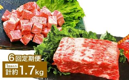 【6カ月定期便】 【大容量！ 人気 食べ比べ セット！】 おおいた和牛 サイコロステーキ ・ 1ポンドブロック 計約1.7kg×6回 計約10.2kg ステーキソース付