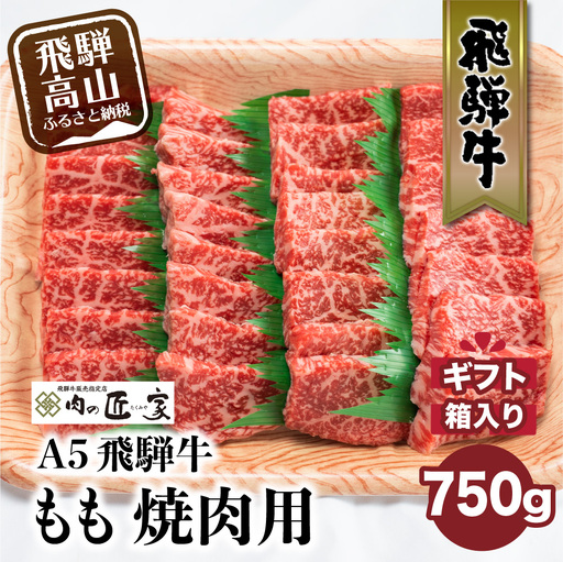 A5等級 飛騨牛 もも 焼肉用 750g | 和牛 焼肉 BV014