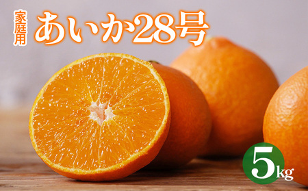【2026年12月上旬から順次発送 】【紅まどんな と同品種】愛果28号 約5kg 【DRM002】