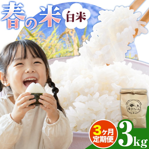 米 春の米 白米 3kg 3ヶ月 定期便 春子ファーム 米