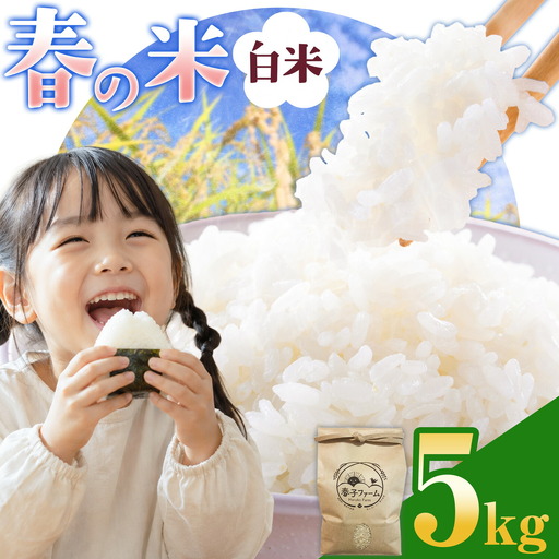 米 令和7年産 春の米 白米 5kg 春子ファーム 米