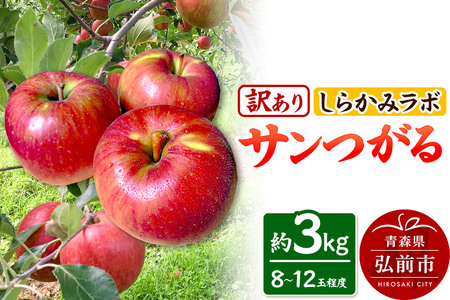 [26年9月クール便発送]りんご サンつがる[訳あり]約3kg しらかみラボ 先行受付 家庭用 青森県 弘前市 果物 フルーツ 林檎 リンゴ くだもの 不揃い 規格外