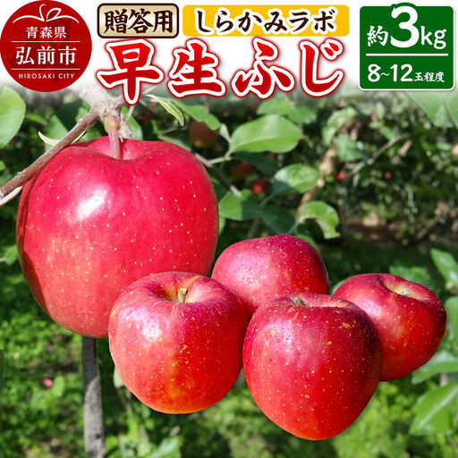 [26年10月発送]りんご 早生ふじ[贈答用]約3kg 先行受付 しらかみラボ 青森県 弘前市 果物 フルーツ 林檎 リンゴ くだもの ギフト 贈り物