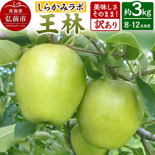 【26年12月中旬～発送】りんご 王林【訳あり】約3kg 先行受付 しらかみラボ 家庭用 青森県 弘前市 果物 フルーツ 林檎 リンゴ くだもの 不揃い 規格外