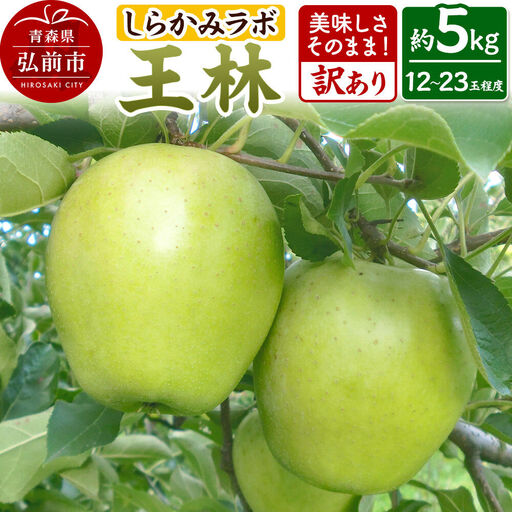 【26年12月中旬～発送】りんご 王林【訳あり】約5kg 先行受付 しらかみラボ 家庭用 青森県 弘前市 果物 フルーツ 林檎 リンゴ くだもの 不揃い 規格外