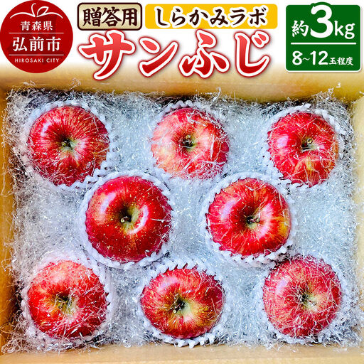 【26年12月中旬～発送】りんご サンふじ【贈答用】約3kg 先行受付 しらかみラボ 青森県 弘前市 果物 フルーツ 林檎 リンゴ くだもの ギフト 贈り物