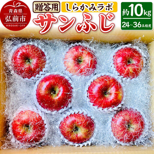 【26年12月中旬～発送】りんご サンふじ【贈答用】約10kg 先行受付 しらかみラボ 青森県 弘前市 果物 フルーツ 林檎 リンゴ くだもの ギフト 贈り物