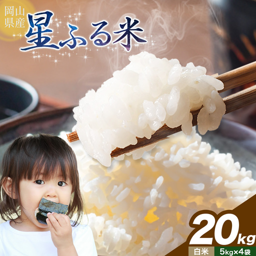 白米 星ふる米 20kg h