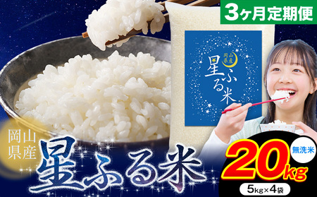 【3ヶ月定期便】無洗米 星ふる米 20kg 無洗 mt