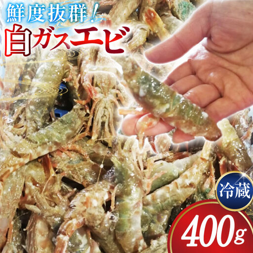 [期間限定発送] 極上激甘!白ガスエビ 冷蔵 400g