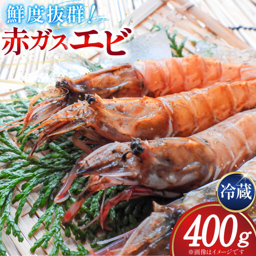 [期間限定発送] 超甘!赤ガスエビ 冷蔵 400g