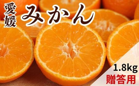 [先行予約][発送期間:2026年10月下旬〜なくなり次第終了][贈答用]愛媛みかん 1.8kg みかん