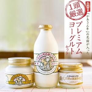 [限定生産]「かあさん牛」の名前が入った「1頭厳選」プレミアムヨーグルトセット