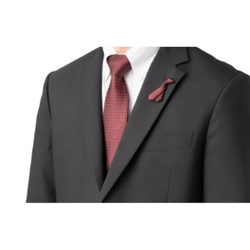 シルク100%のネクタイ＆「ｐ-Ｔｉｅ」（ネクタイ型ピンバッジ）セット（レッド）| ネクタイ 父の日