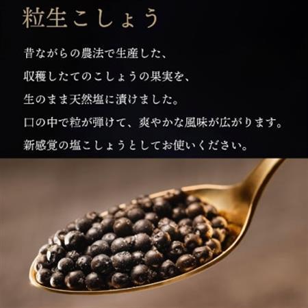 【世界初・元祖】粒生こしょう 30g・生こしょう 30g ギフトボックス2個入り(小) 贈り物セット【1675676】
