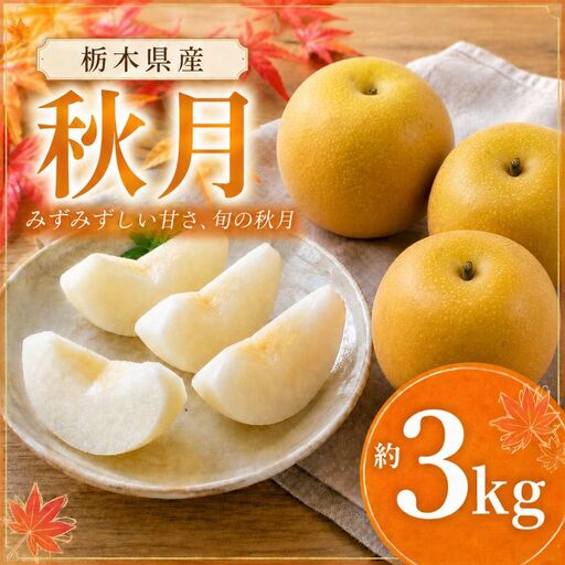 [2026年先行予約] 秋月 3kg 真岡市産 梨 なし