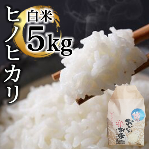 米 ヒノヒカリ 5㎏(令和7年産)　白米【18-047】