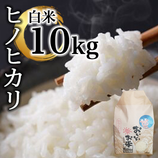 米 ヒノヒカリ10㎏(令和7年産) 白米【36-004】