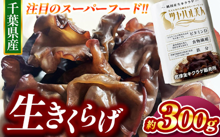 生キクラゲ 約300g | きくらげ 農薬（化学肥料）：栽培期間中不使用