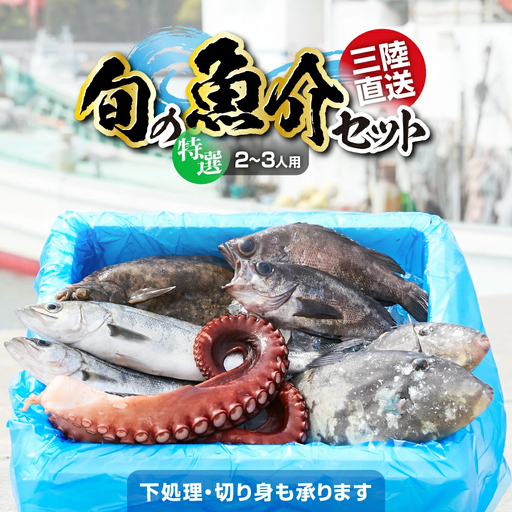 鮮魚セット(2～3人用) 下処理済み 朝獲れ直送 三陸 旬 冷蔵 刺身 海藻 貝 鮮魚 お魚