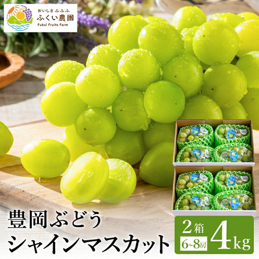 【2026年先行予約】豊岡ぶどう シャインマスカット ２箱  約4kg / 豊岡ブドウ 産地直送 糖度が高い 濃厚 甘味 上品な香り 歯切れの良い 皮ごと 食べられる 減農薬 シャイン マスカット ぶどう ブドウ 葡萄 果物 くだもの フルーツ ふくい農園