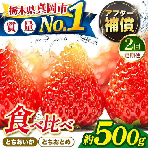 [2027年 先行予約受付中][定期便2回]いちご とちおとめ・とちあいか 食べ比べ 500g