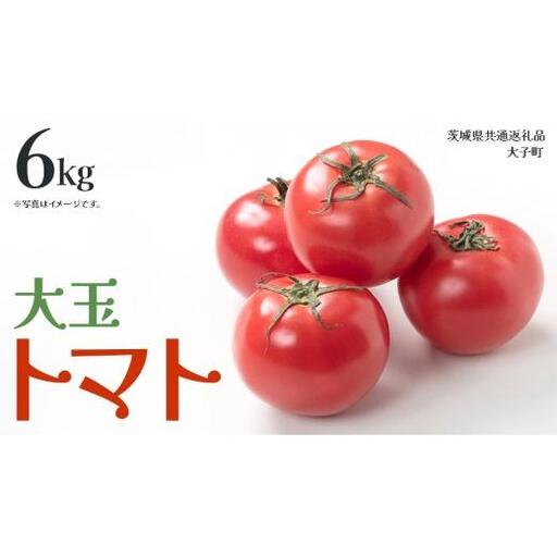 大玉 トマト 6kg (茨城県共通返礼品：大子町)
