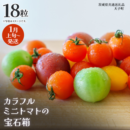 カラフル ミニトマト の宝石箱 18粒【2027年1月上旬発送開始】(茨城県共通返礼品：大子町) 野菜 フルーツ 旬 季節限定 期間限定