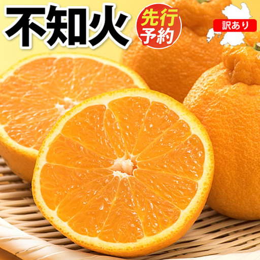 ＜ R8年熊本地震復興支援 ＞訳あり 不知火 計7kg 【2027年1月下旬～4月下旬迄順次発送予定】