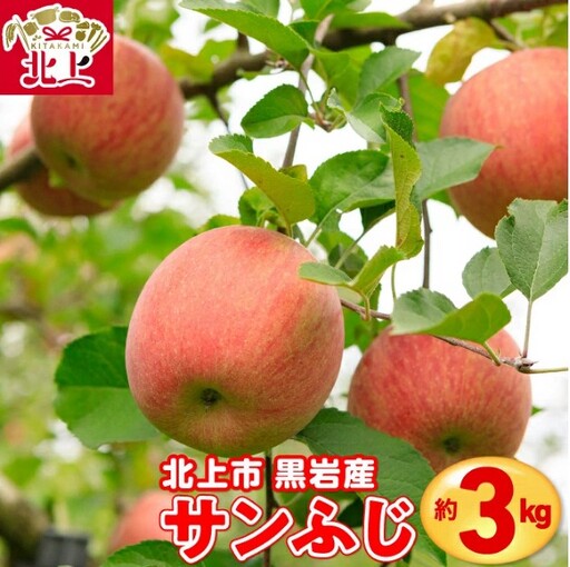 りんご サンふじ 約3kg フジ さんふじ 贈答 お歳暮 ギフト 季節 リンゴ 林檎 くろいわ産直 岩手県 北上市