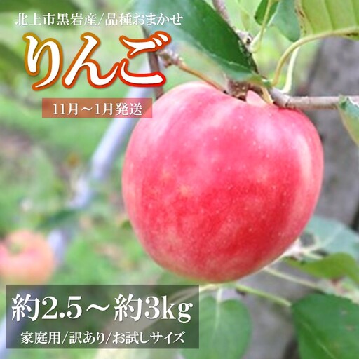 訳あり りんご 約 2.5kg 〜約 3kg ( 品種おまかせ/ 予約受付11月発送開始)季節のりんご 旬のりんご 黒岩産直 岩手県 北上市 C0605R0808