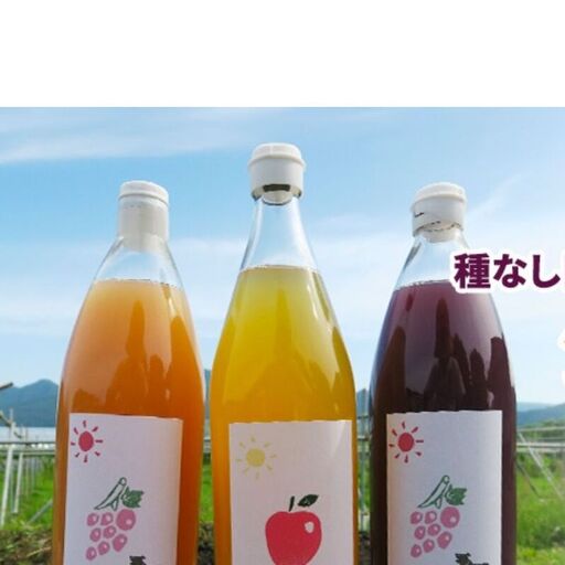 種無し巨峰 ナイアガラ りんごジュース1L×3本セット フルーツ 長野県