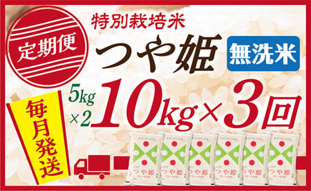 【定期便】【無洗米】 令和8年産 山形県産 つや姫 10kg (5kg×2) 3回配送