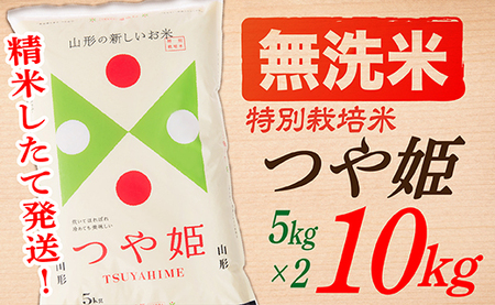 【令和8年産予約】【無洗米】山形県産つや姫10kg(5kg×2袋)