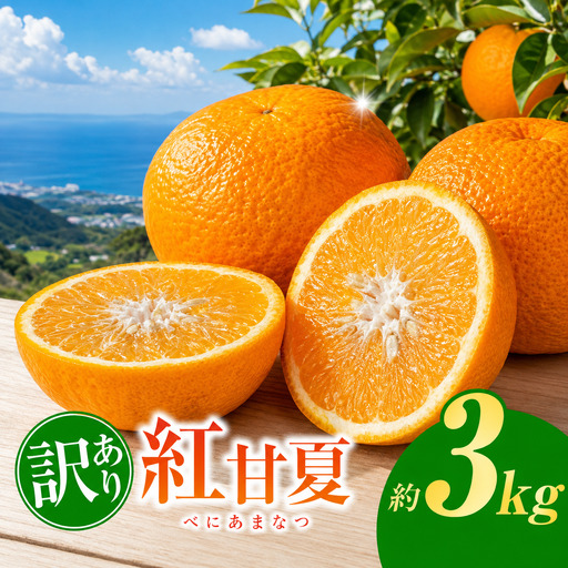 訳あり 紅甘夏 約 3kg | 甘夏