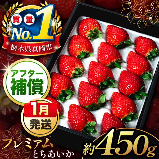 【先行予約受付中】【2027年1月発送発送】とちあいか贈答用 黒箱450g 