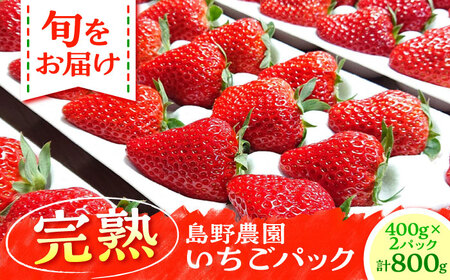 【先行予約】【数量限定20セット】島野農園のいちご（400g×2パック） 紅ほっぺ ほしうらら 【島野農園】[AKHV002]